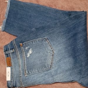 Womens Judy Blue Capri